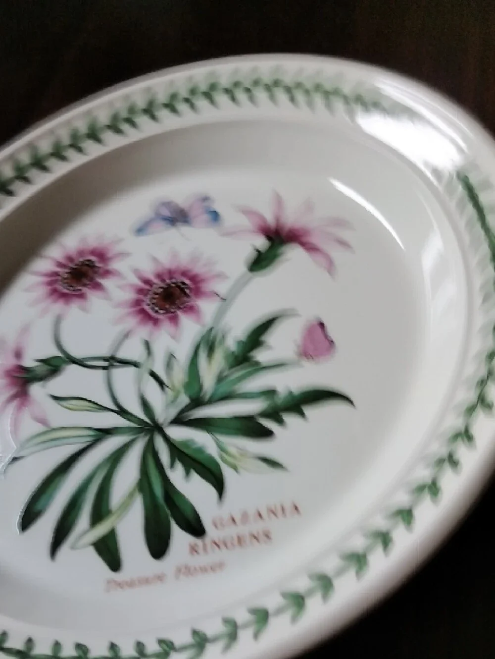 Port Meirion New Gazania Ringens Floral 8.5 Plate - Pink